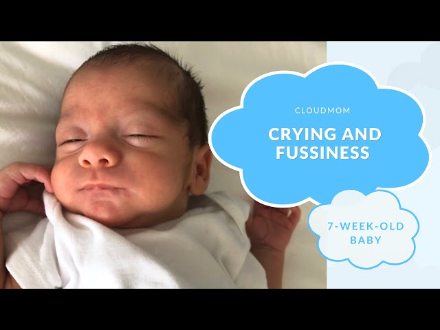 7 Week Old Baby: Crying and Fussiness | Subt. ENG/ FR/ ES/ ZHO_CN | CloudMom