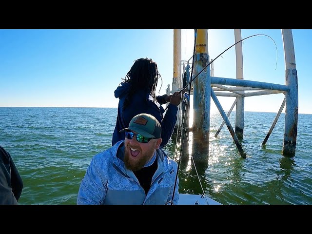 WE CAUGHT OVER 100 SHEEPSHEAD!! UNREAL BITE!!!