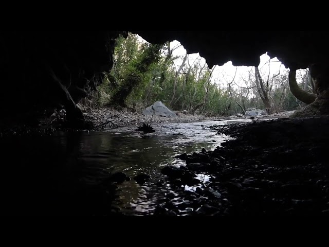 Sleep in Cave Ambience, Water Sounds, Droplets for Deep Sleeping & Relaxation