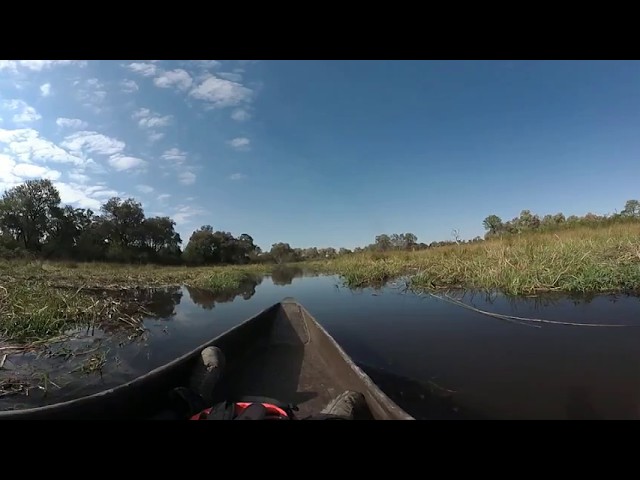 Mokoro trip in Moremi (360°)