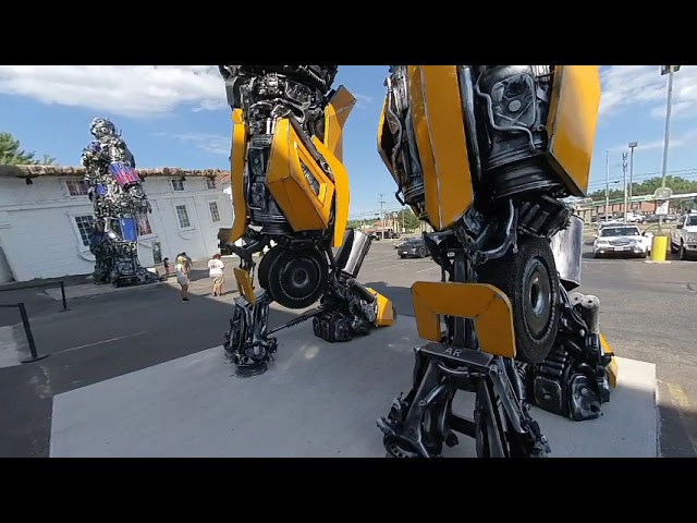 Bumble Bee VR 3D 180 4K Wisconsin Dells Top Secret Attraction