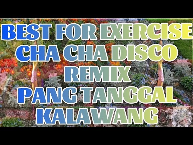 BEST FOR EXERCISE CHA CHA DISCO REMIX PANG TANGGAL KALAWANG | #CCTO #NOCOPYRIGHTMUSIC