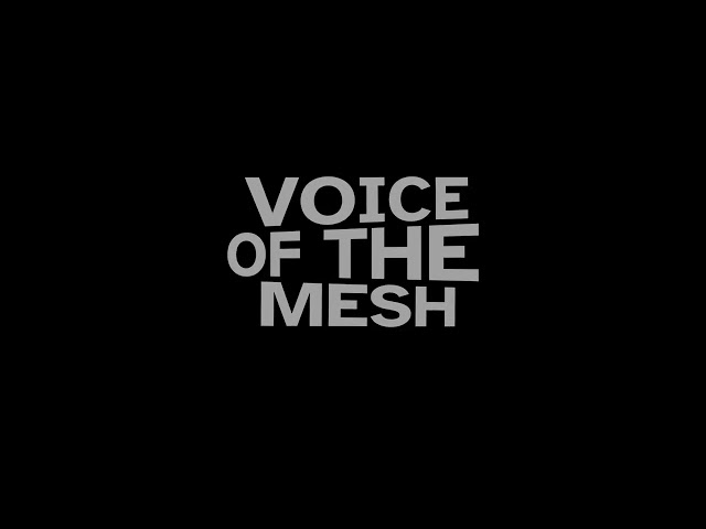 Voice of the Mesh - A New Meshtastic Podcast - Ep1 January 2025