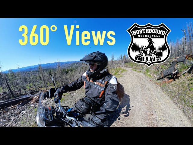 360 VR through a forest that was devastated by wildfire 4 years earlier ~ROYAL ENFIELD HIMALAYAN~