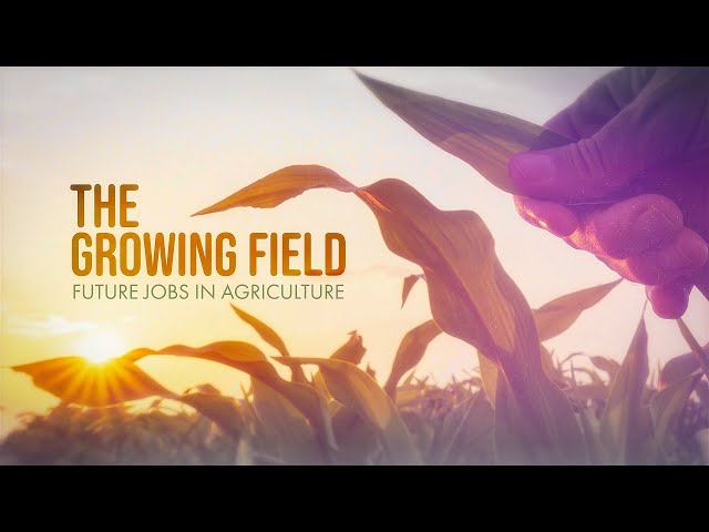 The Growing Field: Future Jobs in Agriculture