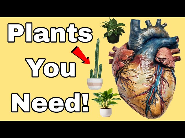 WARNING: Don't Ignore These 8 Plants If You Want a Healthier Home