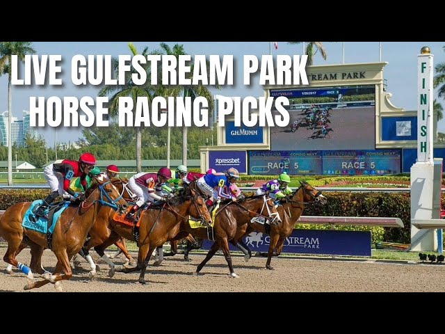 Live Gulfstream Park Horse Racing Picks