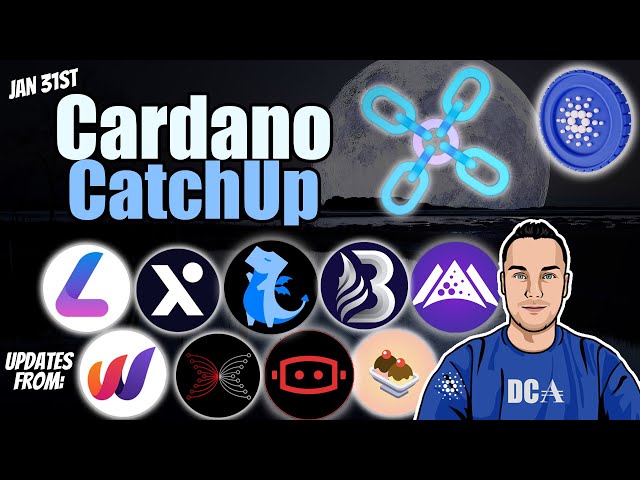 Cardano News - Launches, Updates, New Highs and Cross Chain Swaps