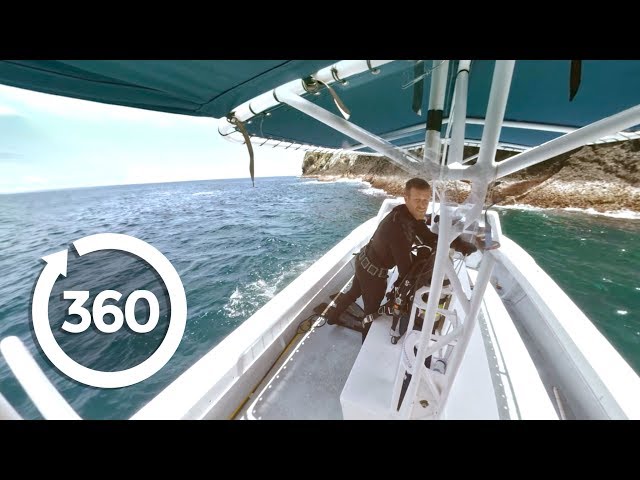 Shark Storm: A Story of Self Confidence (360 Video)