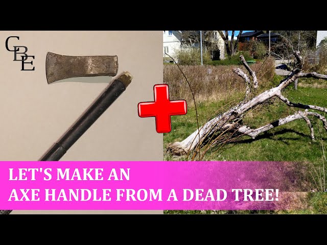 Let's make an axe handle from a dead tree!