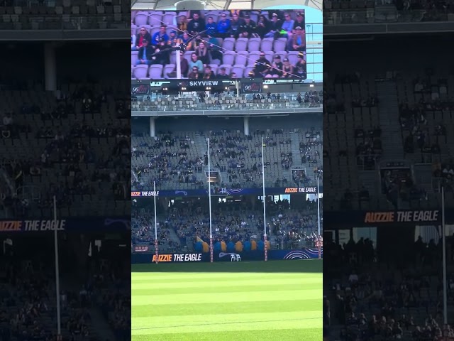 Auzzie the Eagle swoop in Optus Stadium. AFL Round 18 2023: West Coast v Richmond