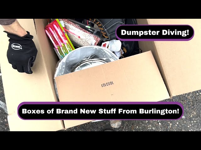 We Found Boxes of Brand New Stuff While Dumpster Diving!