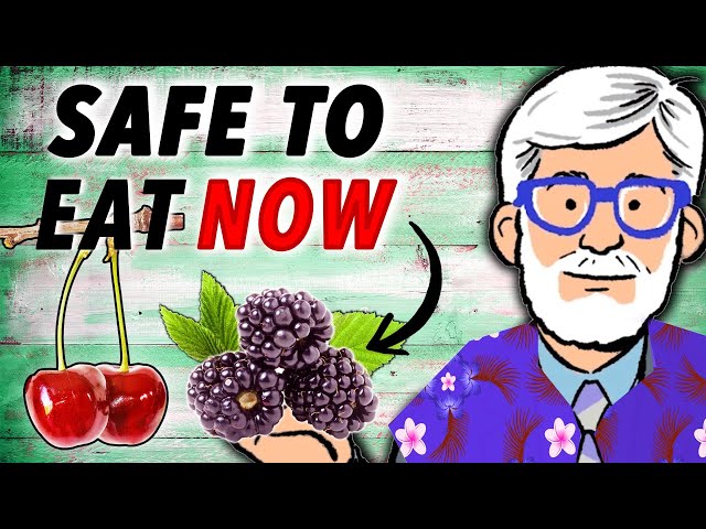 Dr. Gundry's The Plant Paradox - Seasonal Eating Cheat Sheet [SUMMER EDITION]