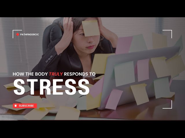 How stress affect the body