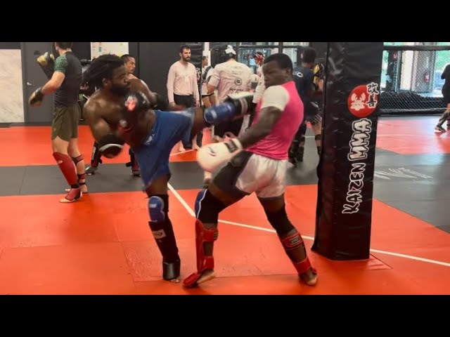 Elite MMA Sparring | Kaizen MMA