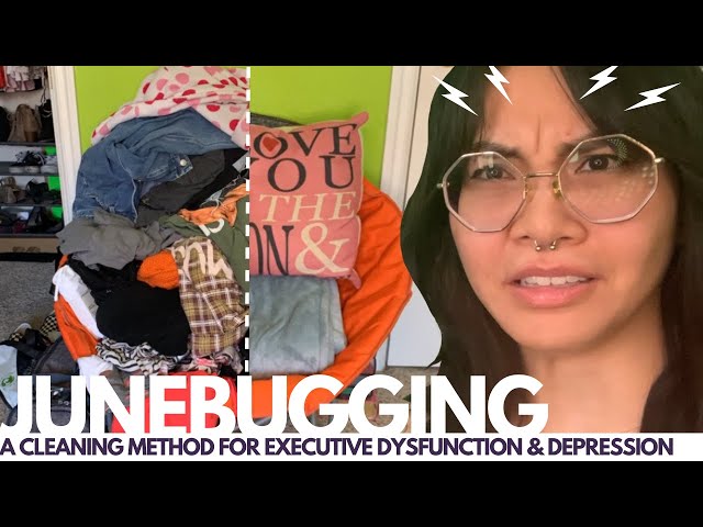 Junebugging - A Cleaning Method for ADHD/ADD, Autism, & Depression