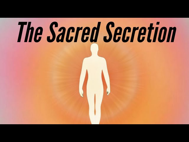 The Truth About Semen Retention & Sexual Energy | Sexual Transmutation