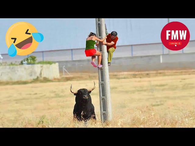 Funny & Hilarious People's Life 😂 #50 - Try not to Laugh | Funny Fails compilation 2024