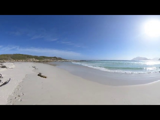 360 Walking Tour, Klein Slangkop to Long Beach walk. #sdpaterson #insta360oner #360capetown