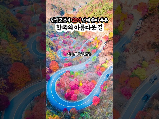 20억원을 쏟아부은 한국 최고의 드라이브 코스, 가을에는 단풍 가득 #국내여행지추천