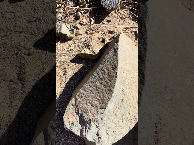 Ancient Nephilim spear artifact