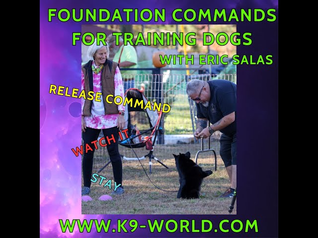 Foundation Commands for Training Dogs - with Eric Salas