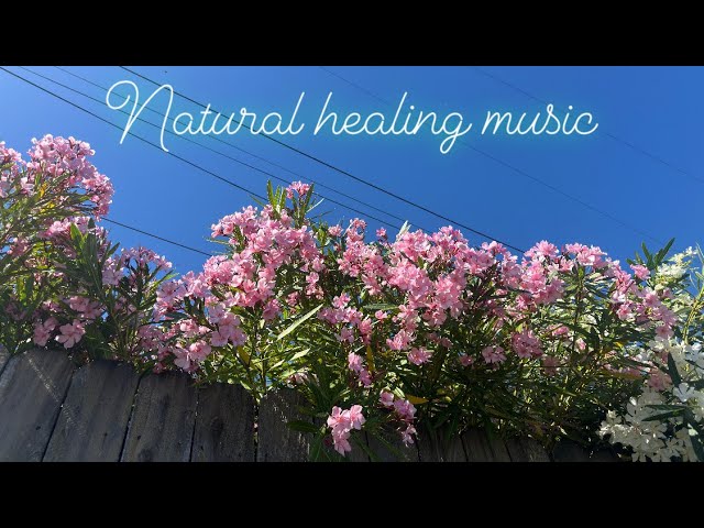 Beautiful Relaxing Music For Meditation | Deep Sleep Music | Sleep Instantly | Calm Music | #nature