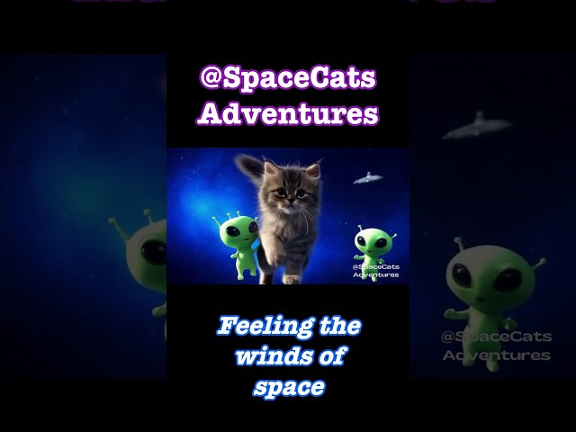 SpaceCats Adventures Ep.3 #cat #cute #ai