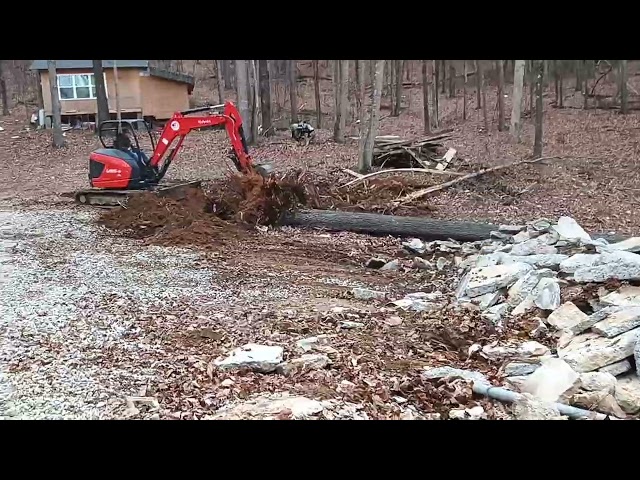 🔥 THE TREE IS DONE 🔥 BUT SO IS DRONE 🔥