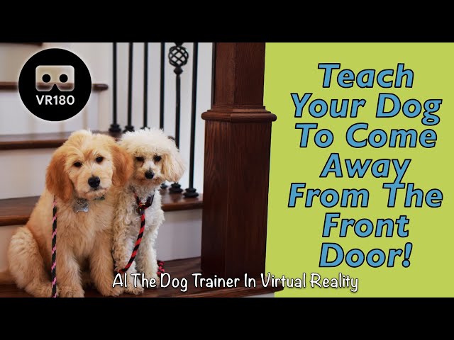 Teach Your Dog to Come Away From the Front Door! In Virtual Reality!