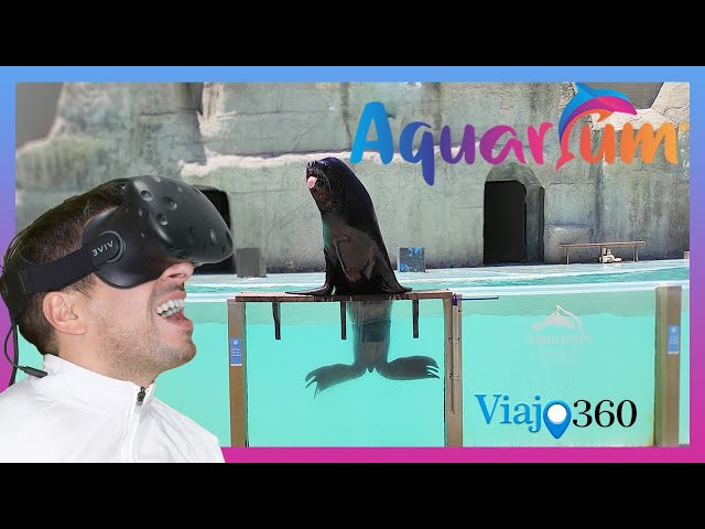 🐬 Delfines en 360º? 🐟AQUARIUM Mar del Plata🐦🐧| Argentina |6K