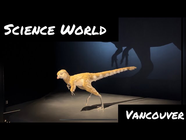 SCIENCE WORLD Vancouver BC CANADA 🇨🇦 #science #scienceworld #kidsscience