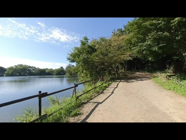 진해 내수면 환경생태공원 산책 A Walk in the Environmental Ecological Park in Changwon, Jinhae, and Naesu-myeon