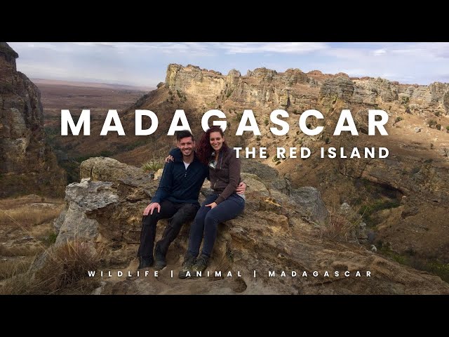 MADAGASCAR 🇲🇬 2019 | Trip of a Lifetime - 4K