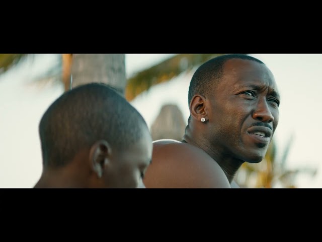 A24 x IMAX Present: Moonlight | Official Trailer