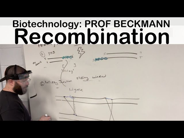 Homologous Recombination