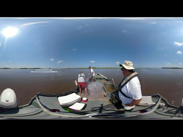 Sturgeon 360 Video