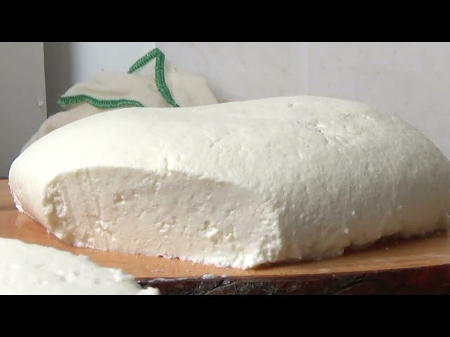 How to make fresh cheese at home ? easy and Quick recipe for RICOTTA cheese