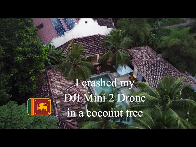 I Crashed my Drone in a Coconut Tree | DJI Mini 2 | Sri Lanka 🇱🇰