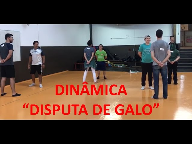 Dinâmica Disputa de Galo