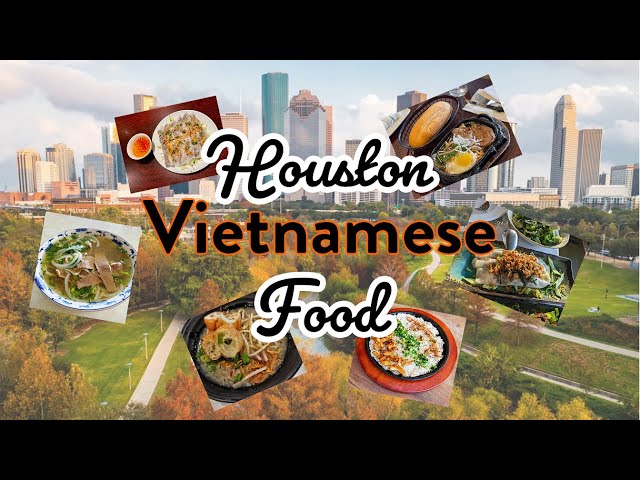 Houston's Hidden Gems  Top Vietnamese Eats 2024 #houston #vietnamesefood #pho #banhmi #banhcuon