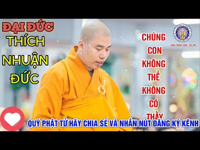 🔴[Thầy Thích Nhuận Đức] - Nhạc CON xin "cảm ơn" thầy ạ💛|| ADIDAPHAT😊🙏🏼 #ThatThaNiemPhatVLT