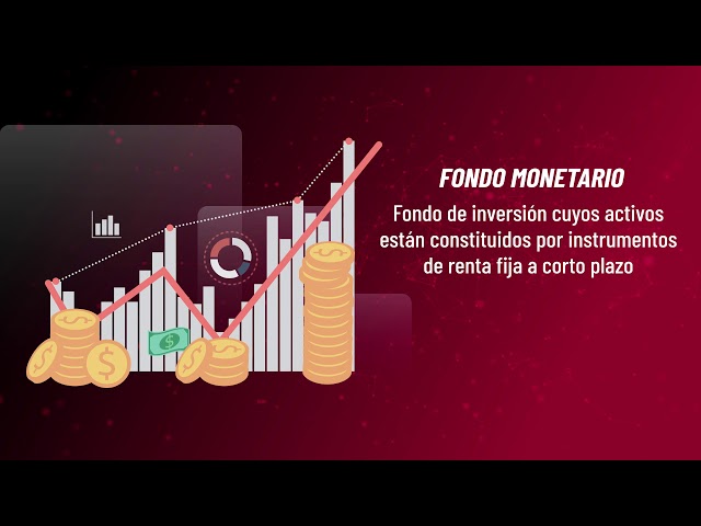 IRONIA WIKIFINTECH - FONDO MONETARIO