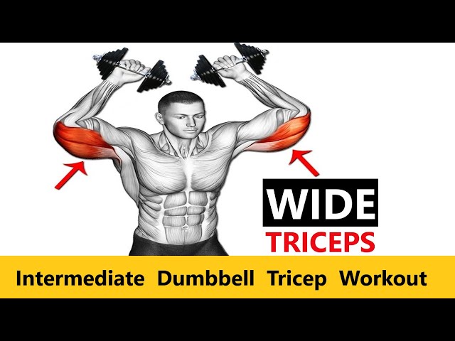 DUMBBELL TRICEP WORKOUT  MUSCLE BUILDING WORKOUT  INTERMEDIATE WORKOUT