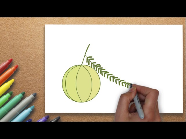 How to Draw a Gooseberry Step by Step