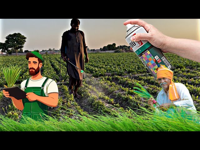 “Man Spraying Spinach in the Evening - Caught on Camera”