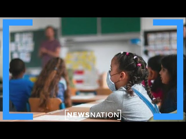 The US Education Department: The arguments for, against killing it | Dan Abrams Live