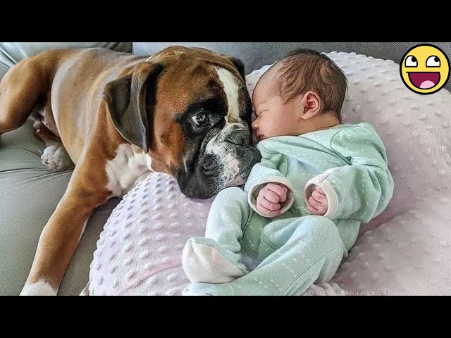 🐕 "Babies & Dogs Being Besties – Adorable & Funny!"💞🐶