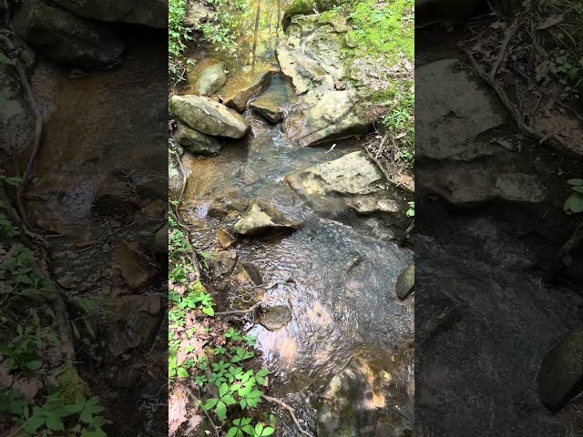 Relaxing stream, no talking 🏞️ #naturesounds #asmrnature #watersounds