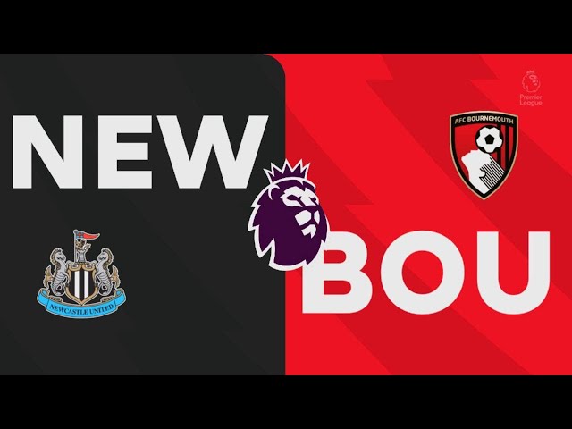 Newcastle 2-2 AFC Bournemouth, Premier league match highlights